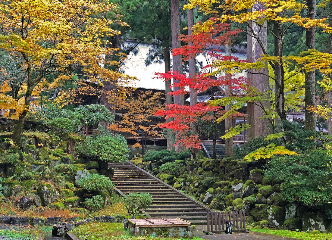 Featured image of post Fukui: Zen Temples, Dinosaurs, and the Cliffs at the Edge of Japan